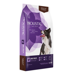 Eagle Holistic Grain Free Turkey Lentils Dog Food eagle holistic, turkey, lentils, dog food, dog, grain free, gf